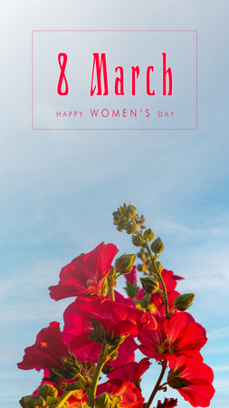 8 march Happy Women's Day. Beautiful flowers.Happy Happy Women's Day.text in the image. high quality photoの写真素材
