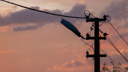 Silhouette of a streetlight against a colorful sunset sky, perfect for backgrounds and evoking...