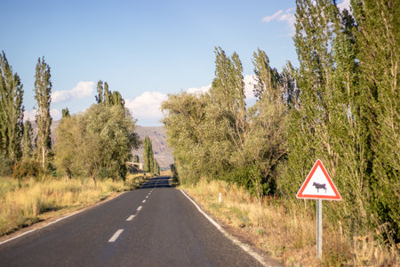 Scenic road with animal crossing sign in Erzurum, symbolizing harmony between nature and rural fiberの写真素材