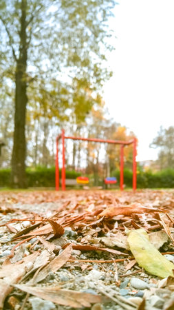 An autumn scene featuring scattered leaves and an empty swing in a silent park, evoking a sense of...