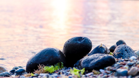 A tranquil scene of wet stones on the shore, bathed in the gentle colors of a sunset. The reflection...