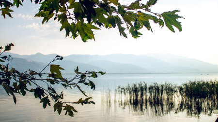 A serene and dreamlike scene of Sapanca Lake framed by hanging green leaves, with distant mountains and calm waters creating a nostalgic and tranquil atmosphere.の写真素材