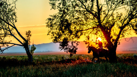 Amidst a breathtaking sunset, a man on horseback salutes, framed by trees, evoking a sense of farewell and serene beauty in Erzurum, Turkey.の写真素材