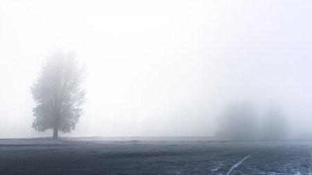 A tranquil foggy scene with silhouetted trees and soft tones, evoking a vintage retro mood, Erzurum, Turkey.の写真素材