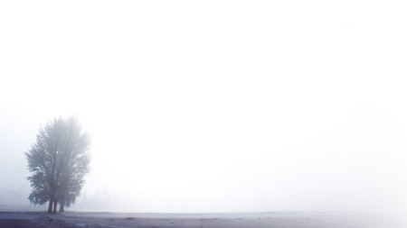 A serene foggy scene featuring a solitary tree standing amidst a vast, quiet plain in Erzurum, Turkey, offering a minimalist and peaceful atmosphere.の写真素材