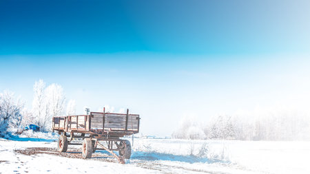 A frosted winter scene featuring an old wooden wagon, snow-covered trees, and a vibrant blue sky in Erzurum, Turkey, exuding a serene and nostalgic atmosphere.の写真素材