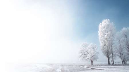 A serene winter landscape with frost-laden trees under a clear blue sky, evoking calmness and mystery in the snowy fields of Erzurum, Turkey.の写真素材