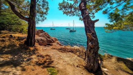 A stunning summer coastal view featuring sailboats anchored in crystal-clear waters, framed by trees and rocky shores, perfect for tourism and vacation inspiration in Edremit, Balikesir.の写真素材