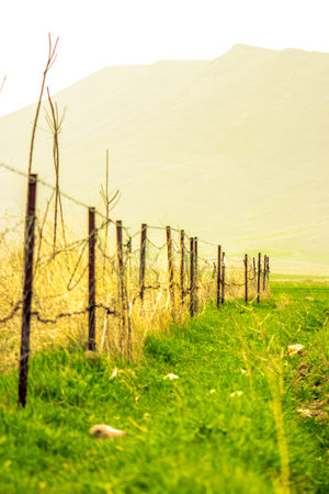 Rusty fence stretching across lush spring grass in rural valley