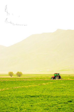 Tractor plowing lush valley under birds and hazy mountain horizonの写真素材