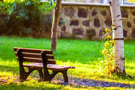 Empty wooden bench in sunlit park with copy spaceの写真素材