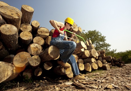 woodcutter cuts the tree in the forestの写真素材