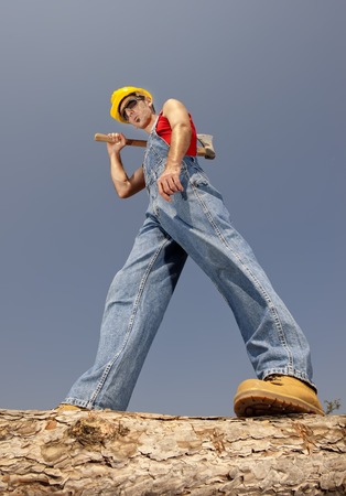 woodcutter cuts the tree in the forestの写真素材