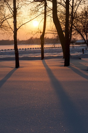 cold winterの写真素材