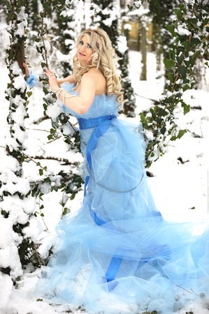 ice and winter queenの写真素材