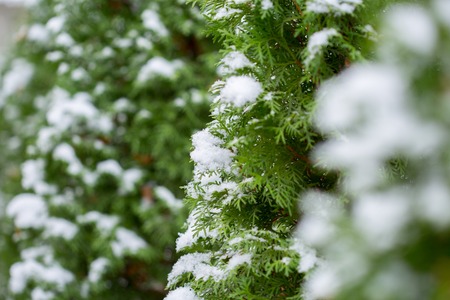 cold winterの写真素材