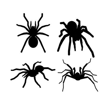 Vector  Black Silhouette Spider Tarantola Set Signのイラスト素材