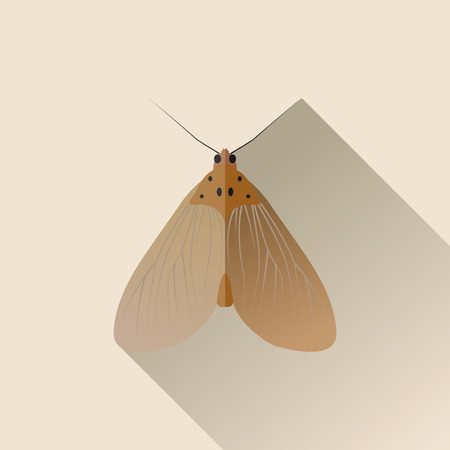 Vector Long Shadow Flat Moth Bug Insectのイラスト素材