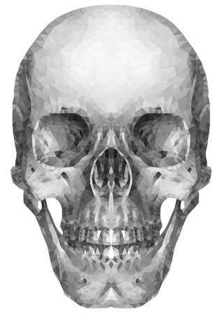 Low poly skull illustrationのイラスト素材