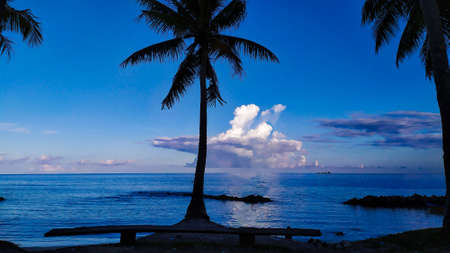 Beautiful sky view combined with elegant beach and trees at sunsetの写真素材