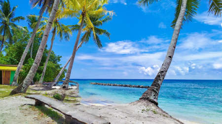 Beautiful sky view combined with elegant beach and treesの写真素材
