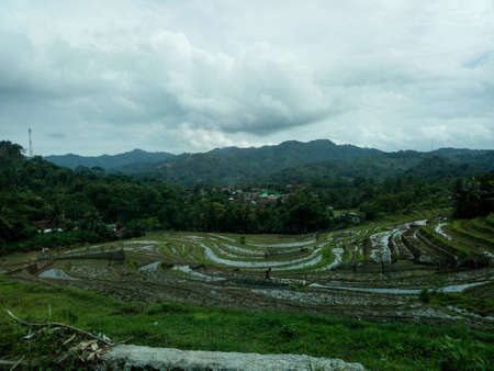 Beautiful mountain view with terraced rice fieldsの写真素材