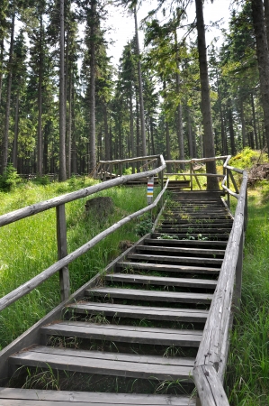 Wooden walkway to Boubin の写真素材