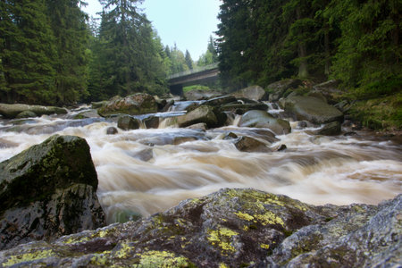 Vydra river