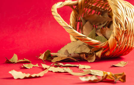 Autumn Yellow Dry Leaves Falling from an old traditional vintage basketの写真素材