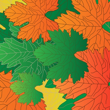 Grape leaf vine design vector illustrationのイラスト素材