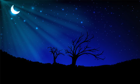 Starry night background with crescent moon, tree and grass silhouette. Widescreen starry night background&#xA;のイラスト素材