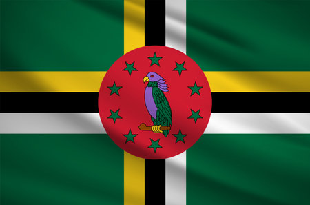 Realistic wavy flag of China background vector. China wavy flag vectorのイラスト素材