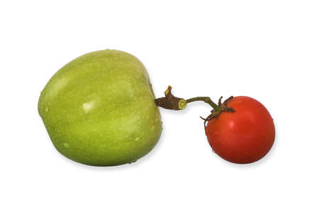 Different colours, different sizes but are happy together.の写真素材