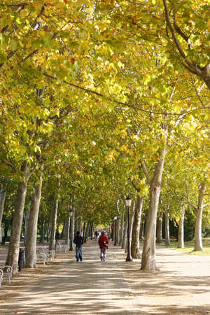 Autumn theme with people walking, resting in the parkの写真素材
