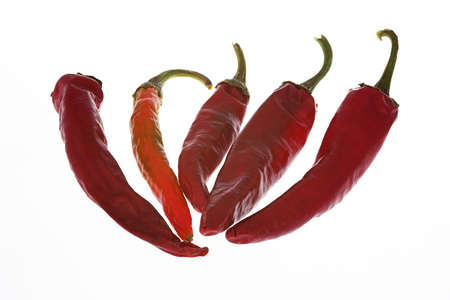 Composition of dried hot paprika on white background. Isolated by backlight.の写真素材