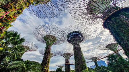 Singapore City, Singapore - September 3, 2022 : Supertree Grove At Gardens By The Bay. Gardens By...