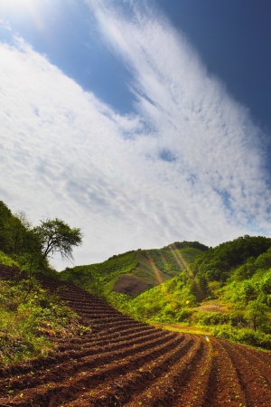 Ground  の写真素材