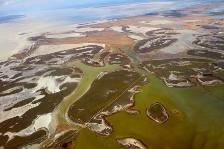 Aerial view of lush coastal wetlands の写真素材