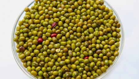 mung  beanの写真素材