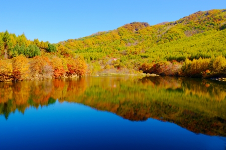 Lake and mountain reflectionsの写真素材