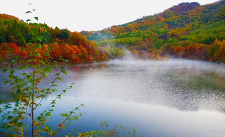 Lake and mountain reflectionsの写真素材