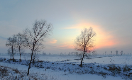 Winter sunsetの写真素材