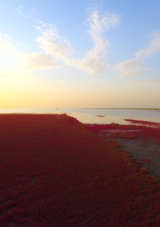 Sunset Beachの写真素材
