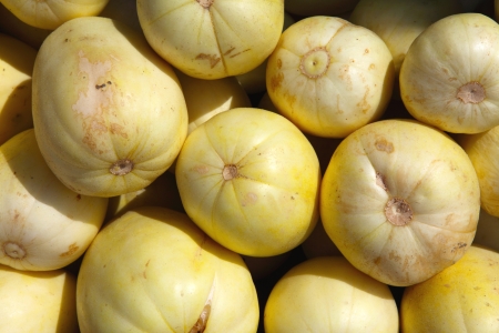 muskmelon の写真素材