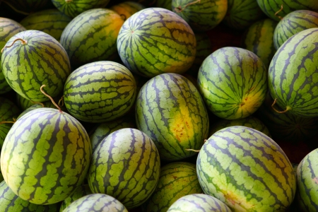 Watermelonの写真素材