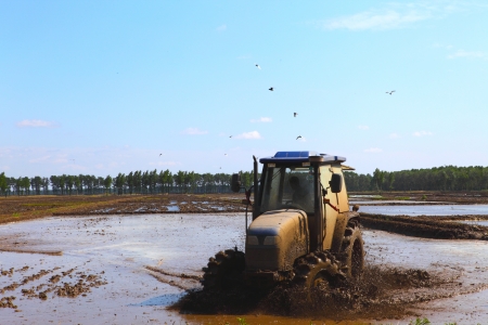 tractor cultivating land の写真素材