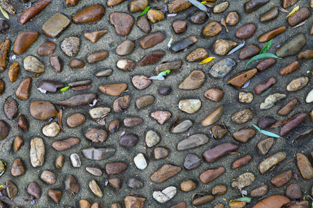 Gravel roadの写真素材