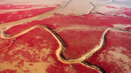 red beach,の写真素材