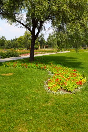 Beautiful park garden in springの写真素材