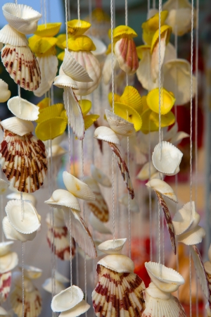 Hanging wind chime made from fishing line and shells の写真素材